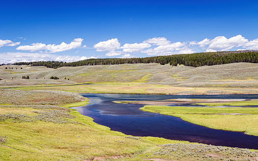 Yellowstone River winding through the summer landscape of Hayden Valley in Yellowstone National PArk Wyoming, USA.