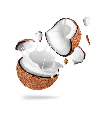 Coconut broken in the air in two halves with milk splashes isolated on white background