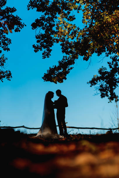 istock bride groom standing in the park and tenderly looking at each other 2049296541