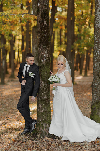 bride and groom on the background of a fairy forest. Romantic views, advertising photo