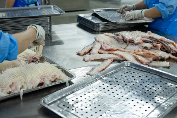 istock workers in the workshop of a fish processing plant sorting and organizing fish bones 2049342427