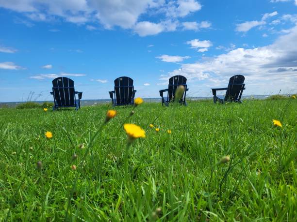 istock Navy Adirondack chairs on the Bay 2049373776