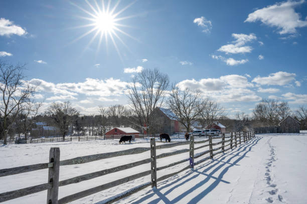 Fence line in a snowy field. Springbank, Alberta, Canada