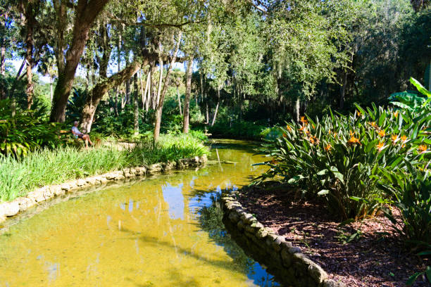 istock A Pond Surrounded by Lush Green Forest 2049424408