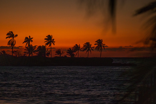 Silhouetted palm trees against a colorful sky. Montego Bay, Jamaica