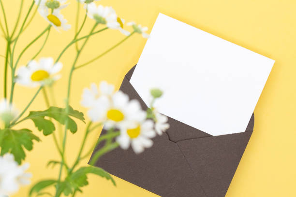 istock Flower and Business Card Mock-up 2049483299