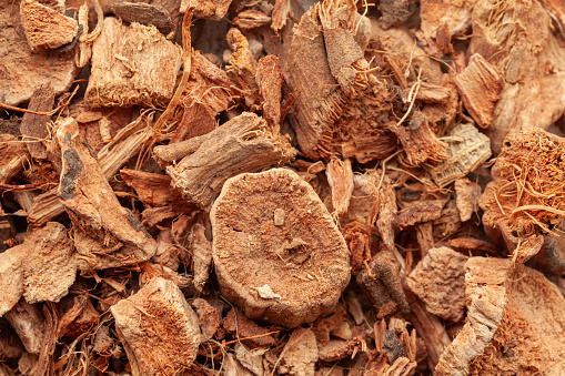 Close-up of Dry Organic Semal Musli (Bombax Mulabaricum) herb, Full-Frame wallpaper. Top View