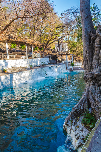 Poza natural con aguas cristalinas color azul turquesa, árboles ahuehuetes en palmillas Guerrero