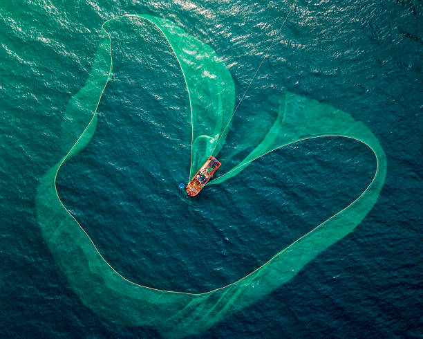istock Fishing on Hon Yen 2049520200