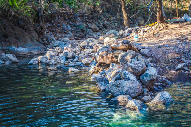 Pond surrounded by rocks in palmillas Guerrero