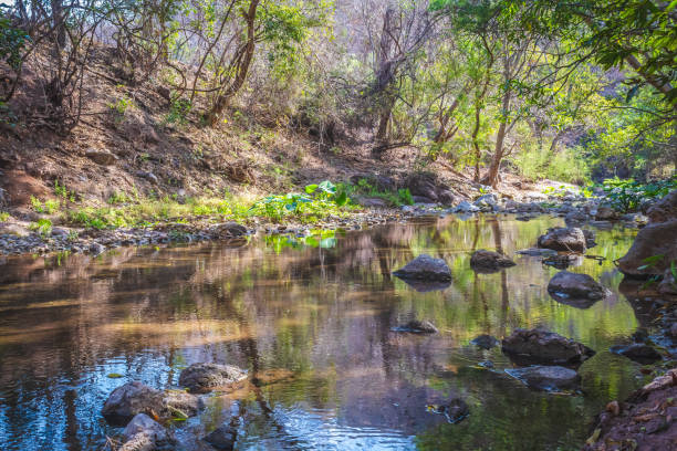 Hermoso rio con aguas cristalinas en guerrero mexico