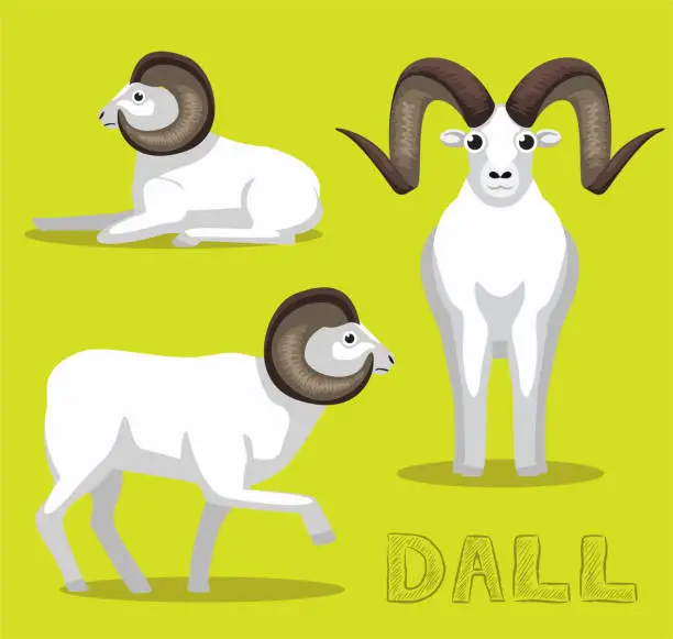 Vector illustration of Sheep Dall Cartoon Vector Illustration