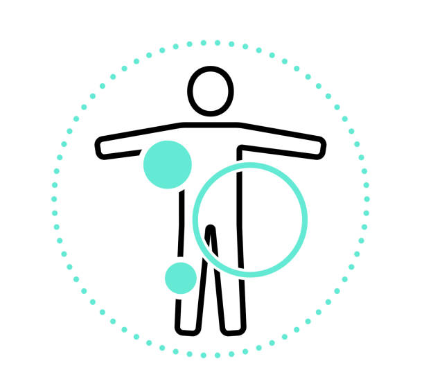 ilustraciones, imágenes clip art, dibujos animados e iconos de stock de icono de ilustración médica de examen detallado - cuerpo humano