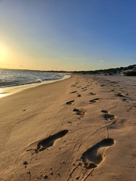 istock Footprints in the sand at sunset 2049580075