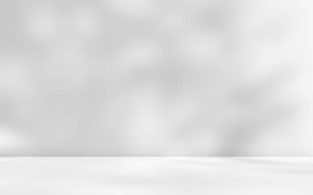 istock Empty gray room studio with shadow of tree leaves on the wall and floor. 2049613771