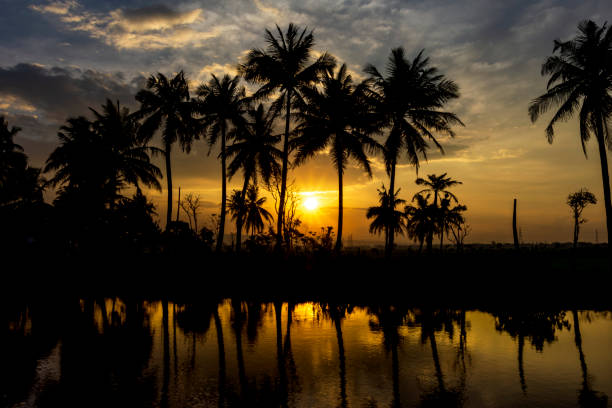 istock sunset reflection of coconut trees in the river 2049650778