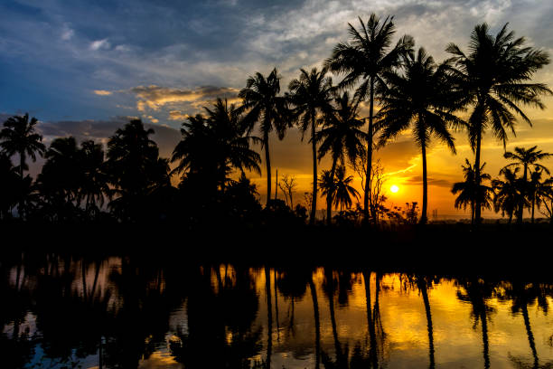istock sunset reflection of coconut trees in the river 2049651303