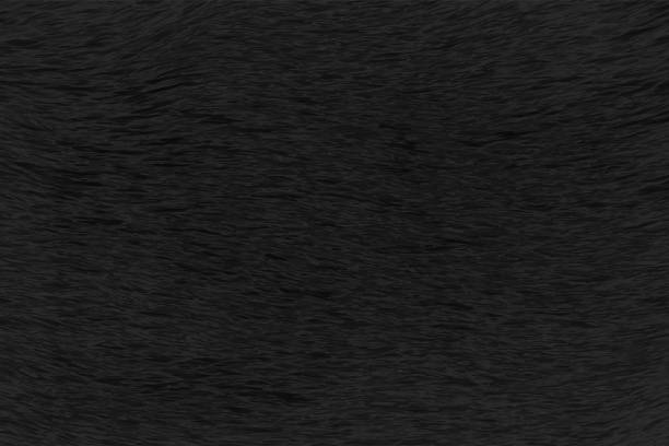 istock Textured effect empty blank dark black coloured wrinkled crinkled crepe paper or hair like hairy texture vector background 2049653375