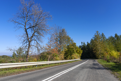 Asphalt road in the countryside on a sunny autumn day