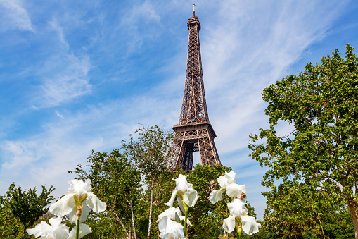 Las Vegas, Nevada-December 12,2013:Paris Hotel and Casino with Replica of Eiffel Tower and Flags