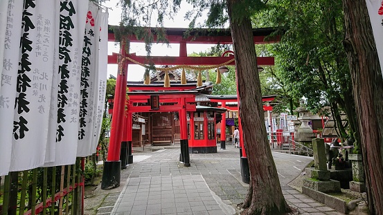 Torii of Chiyoho Inari Shrine.