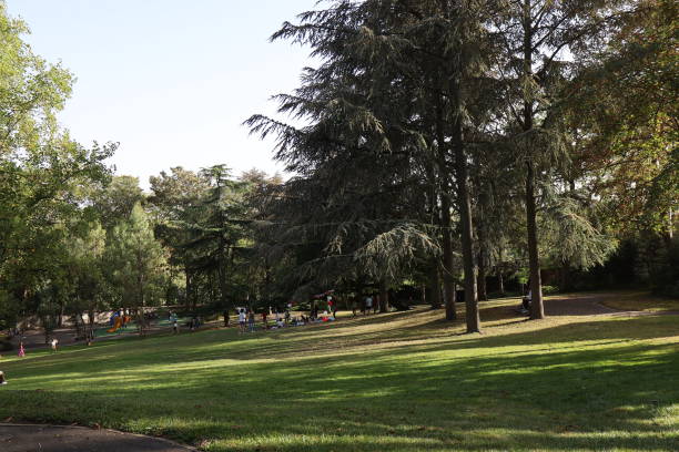 istock Nogent sur Marne - Watteau park 2049772213