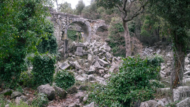 Ancient city of Termessos, ancient historical ruins. Antalya, Turkey The ancient city of Termessos, ancient ruins and the aqueduct in the background are intertwined with nature. Antalya, Turkey termessos stock pictures, royalty-free photos & images