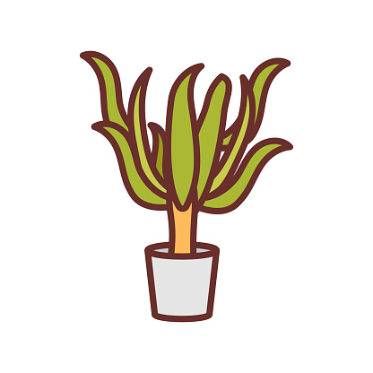Yucca icon in vector. Logotype