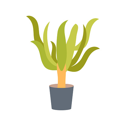 Yucca icon in vector. Logotype