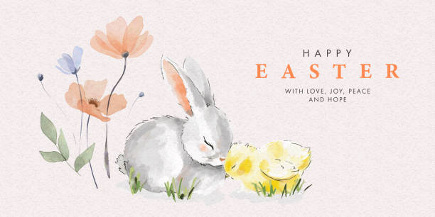 illustrations, cliparts, dessins animés et icônes de carte de voeux aquarelle de joyeuses pâques, bannière de site web ou affiche avec lapin de pâques mignon, petit poussin et fleurs de printemps dans des couleurs pastel sur fond clair. éléments de décor à l’aquarelle de pâques isolés - lapin de pâques