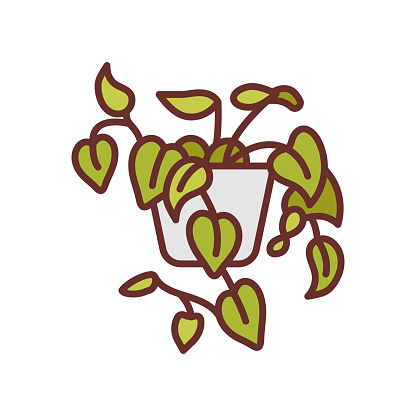 Heartleaf Philodendron icon in vector. Logotype