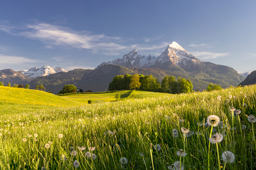 Mountain in the Parc National des Ecrins, in the French Alps