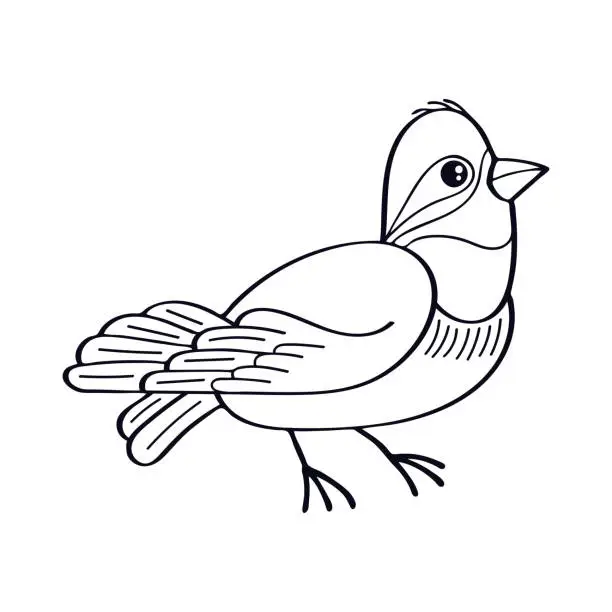 Vector illustration of Bird line art. Cute little forest bird. Exotic feathered. Hand drawn vector sketch illustration.