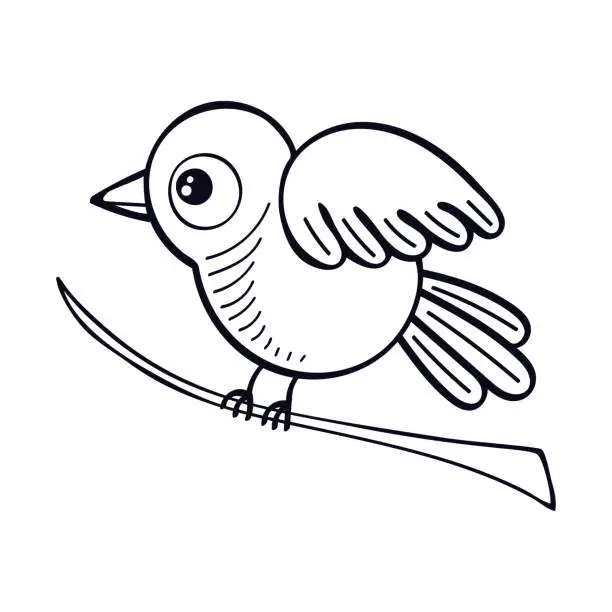 Vector illustration of Bird on branch line art. Cute little forest bird. Exotic feathered. Hand drawn sketch illustration.