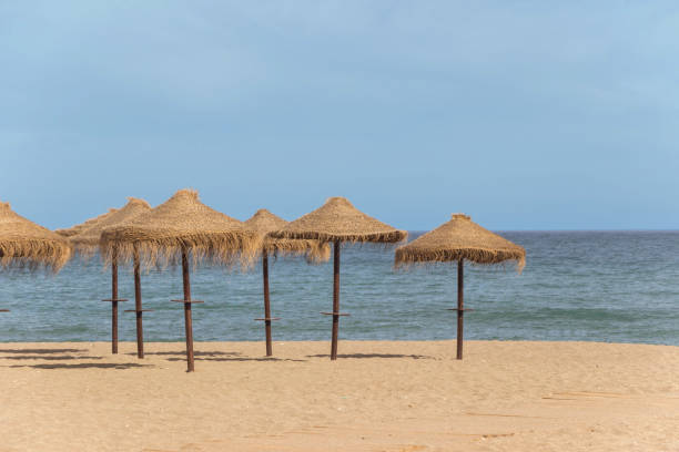 istock natural grass umbrella on empty beach with blue ocean 2049985357