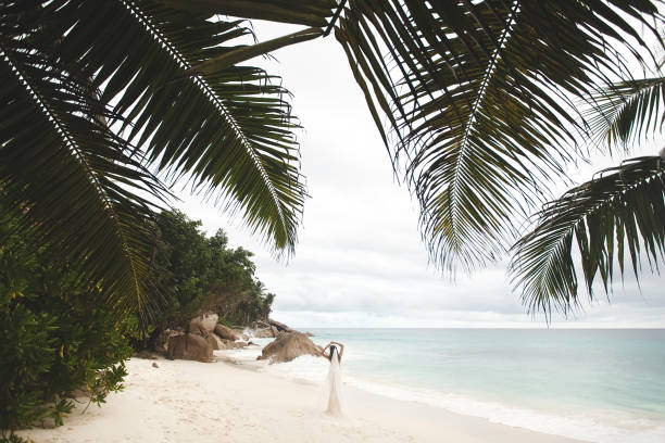 istock Bride on the beach. Rocks and palm trees. 2050006685