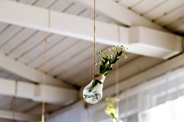istock Light bulb hanging from ceiling with flowers in it and water inside. 2050008790
