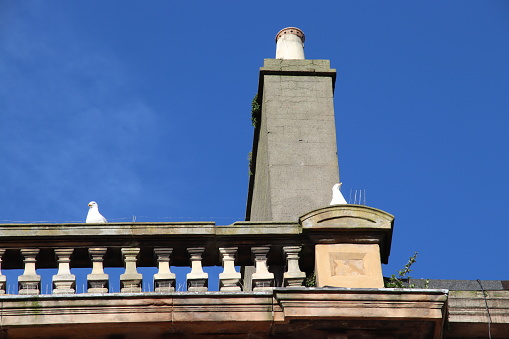Rooftops, chimneys and seagull