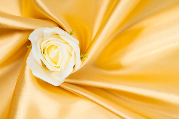 A delicate pink rose rests on smooth ivory fabric forming an elegant composition. The soft textures of the flower and fabric blend harmoniously evoking feelings of calm and beauty.