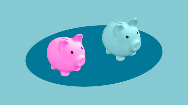 istock Separate budgets in relationships and family. General expense items and personal spending limits. The principle of forming a family fund. Collage with blue and pink piggy banks 2050051220