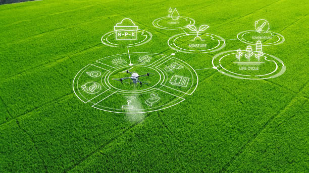 istock Agriculture drone fly to sprayed fertilizer on the  fields. smart farmer use drone for various fields like research analysis, terrain scanning technology, smart technology concept. 2050074244