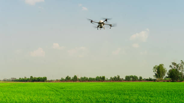 istock Agriculture drone fly to sprayed fertilizer on the  fields. smart farmer use drone for various fields like research analysis, terrain scanning technology, smart technology concept. 2050080089
