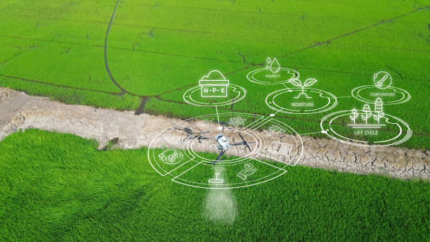 istock Agriculture drone fly to sprayed fertilizer on the  fields. smart farmer use drone for various fields like research analysis, terrain scanning technology, smart technology concept. 2050081129