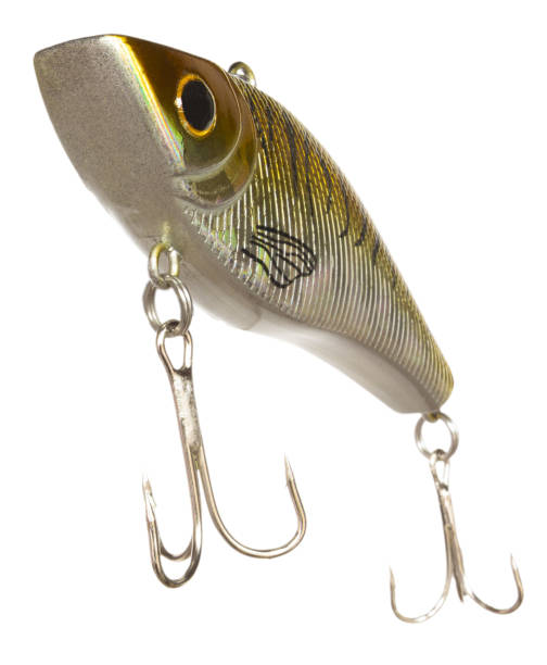 istock Lure made for casting and reeling back in 2050082728