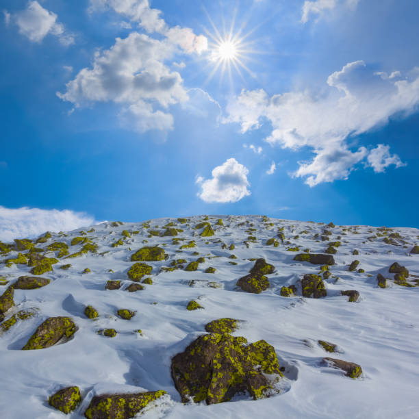 mount top in snow under a sparkle sun