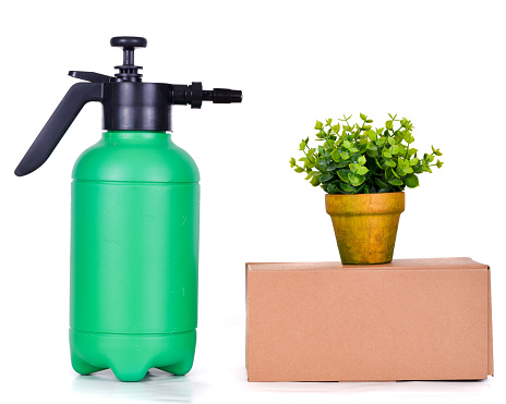Gardening spray pump in front of small bush in pot isolated on white