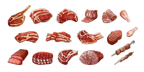 Vector illustration of Set of hand-drawn colored sketches of different types of meat, steaks, chicken, kebabs, bacon, tenderloin, pork, beef, ham, barbecue. Vintage illustration on white background.