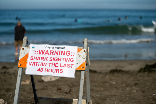 San Francisco, United States – October 16, 2023: A sign warning of sharks on the beach