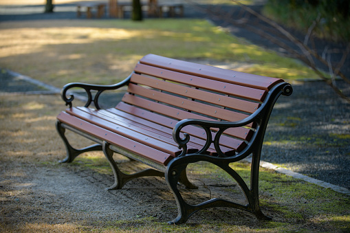 Antique-style bench placed on a tree-lined path in the park