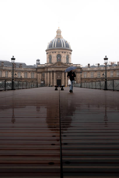 persona con un ombrello raffigurato davanti alla cupola delle beaux-arts de paris - grand beaux arts foto e immagini stock